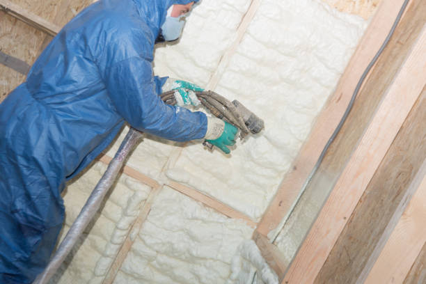 Best Basement Insulation  in Morris, MN